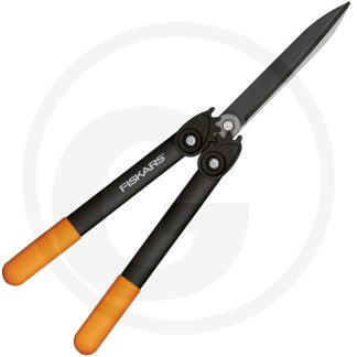 Pensassakset
